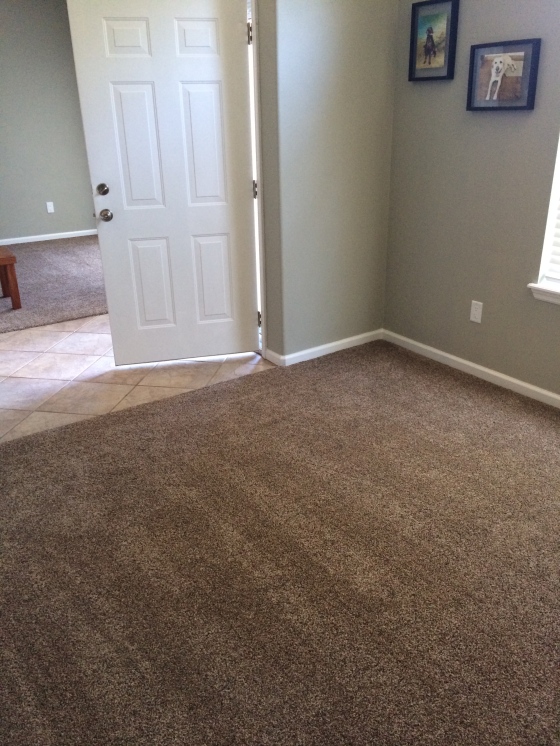 Lowes New carpet
